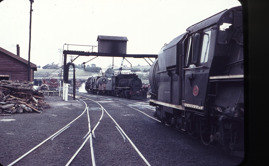 103334: Auckland Locomotive Depot C 857 Ja 1284