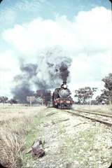 104849: Mile 128.5 Yarrawonga Line Down ARE Special D3 639