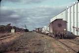 104923: Merrinee Down AREA Special N 462 and Up Weedex Train N 487