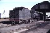 106338: Port Pirie Junction SAR NG Locomotive Depot T 186 later PRRPS