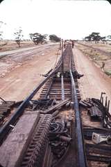 106826: Doodlakine down side Work Train and Straddle Crane at end of Steel on the Standard Gauge Line Looking East