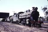 108682: Narrogin Locomotive Depot F 456 Pr 529 P 503