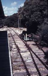 109242: Rottnest Isalnd Railway near Thomson Bay Jetty Locomotive under tree at right
