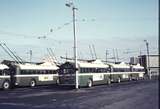 109495: Hay Street East Trolley Bus Depot Sunbeam Trolleybuses 854
