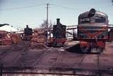 109660: Bunbury Locomotive Depot G 117 G 123 X 1003