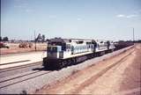 109770: Forrestfield Opposite Locomotive Depot Up Ore L 257 L 266 L 255