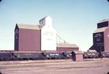 110323: Taber AB Cars loaded with Sugar Beet