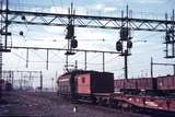 112324: Dudley Street Transfer train for narrow gauge wagons to Belgrave E 11xx