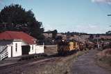 112750: St Leonards Down Log Train X 4 X 7