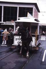 114021: Bourlke Street at Spencer Street Cavalcade of Transport Horse Tram