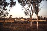 114520: Yeppen up side Down Goods from Mount Morgan 1286