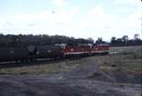 115621: Mount Thorley Coal Train 8165 8105