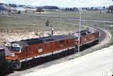 115628: Mount Thorley Coal Train 8107 8136