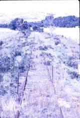 115678: Mile 73.75 Wonthaggi Line Looking towards Nyora