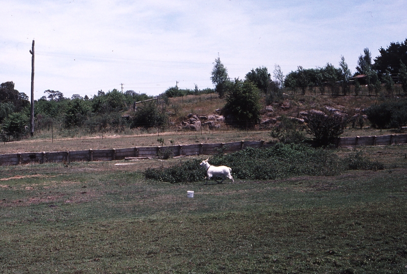119534: Mernda Platform Viewed from East Side
