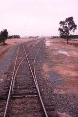 119596: Deniliquin Sale Yards Siding Up End Points Looking North