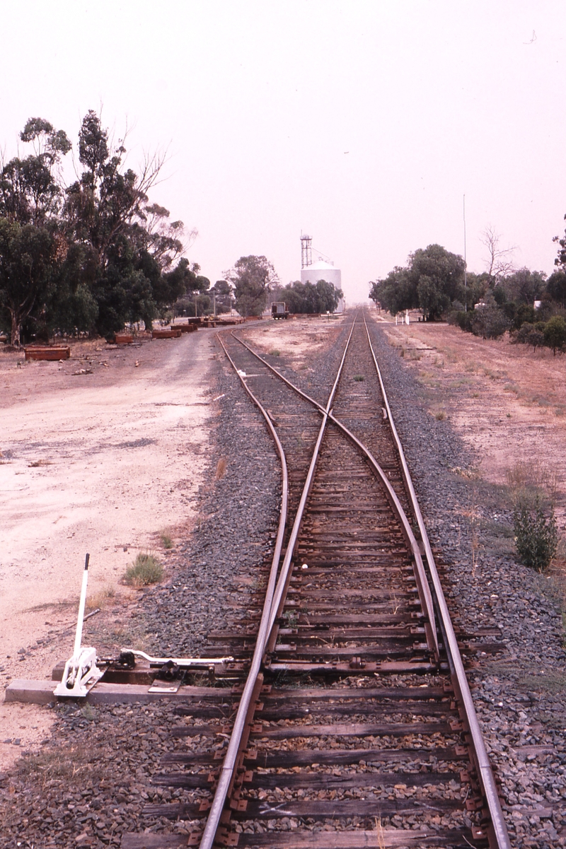 119608: Mathoura Up End Points Looking North