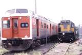 119713: Nyora ex STASA Railcar 2302 T 342