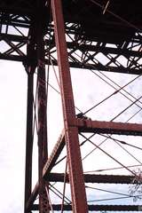 119783: Melton Viaduct East End Koala resting in framing