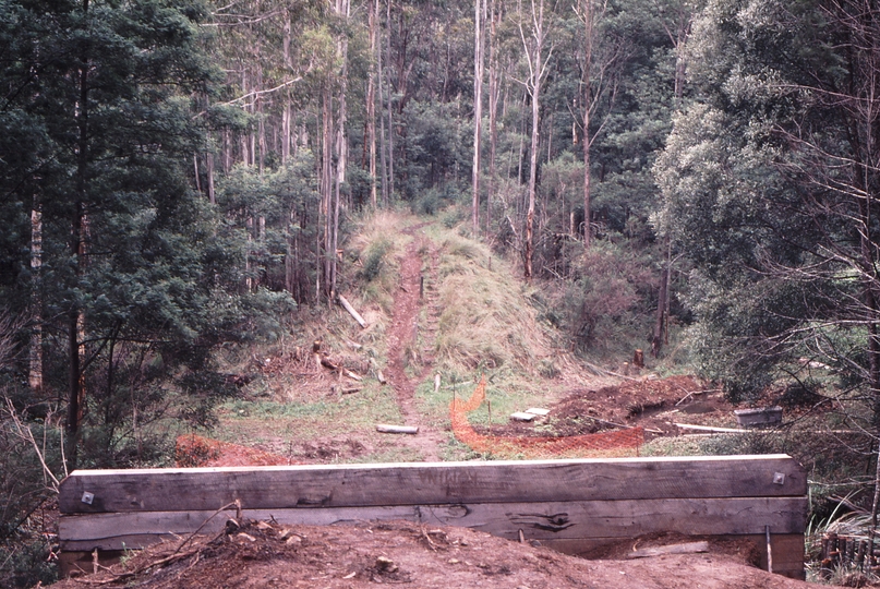 120904: Cockatoo Creek Looking towards Gembrook