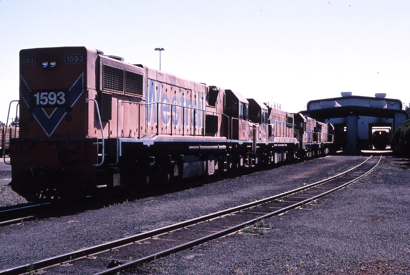 121471: Picton Locomotive Depot DB 1593 DB 1585