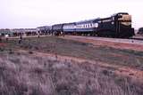 122385: Woorinen - Pira km 361 8093 Down Steamrail Special T 364