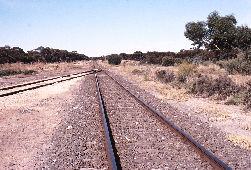 123554: Murrayville East end points looking East