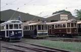 124516: Ballarat Tramway Museum W4 671 No 14 W3 661