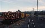 124674: Railton Loaded Log Wagons