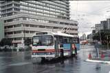 125197: Wellington Bus Terminal Inbound Route 02 Trolley Bus No 245