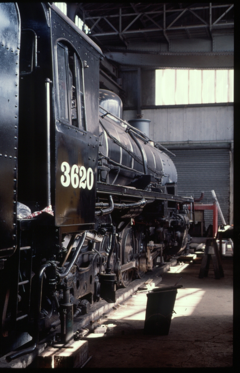 125246: Main Line Steam Trust Parnell Depot 3620 ex South African Railways Class 24