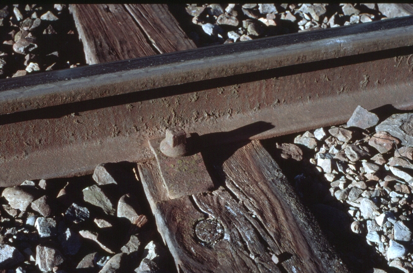 125494: Ormondville Rail and Fastening in main line