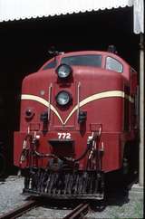 125791: Ferrymead Railway Moorhouse Dg 772 TMS 2255