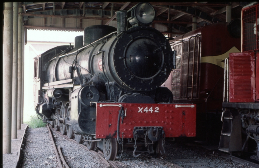 125796: Ferrymead Railway Moorhouse X 442