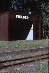 126170: Fielder