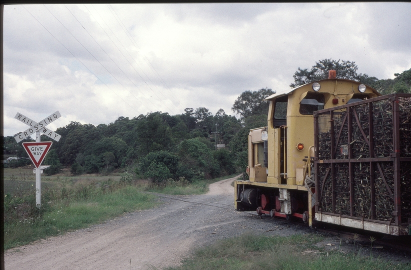 127116: Nambour Mill River Store Road South end Loaded Cane Train 'Jamaica' leading