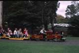128502: Como Gardens The Basin Passenger 2-4-2 Locomotive
