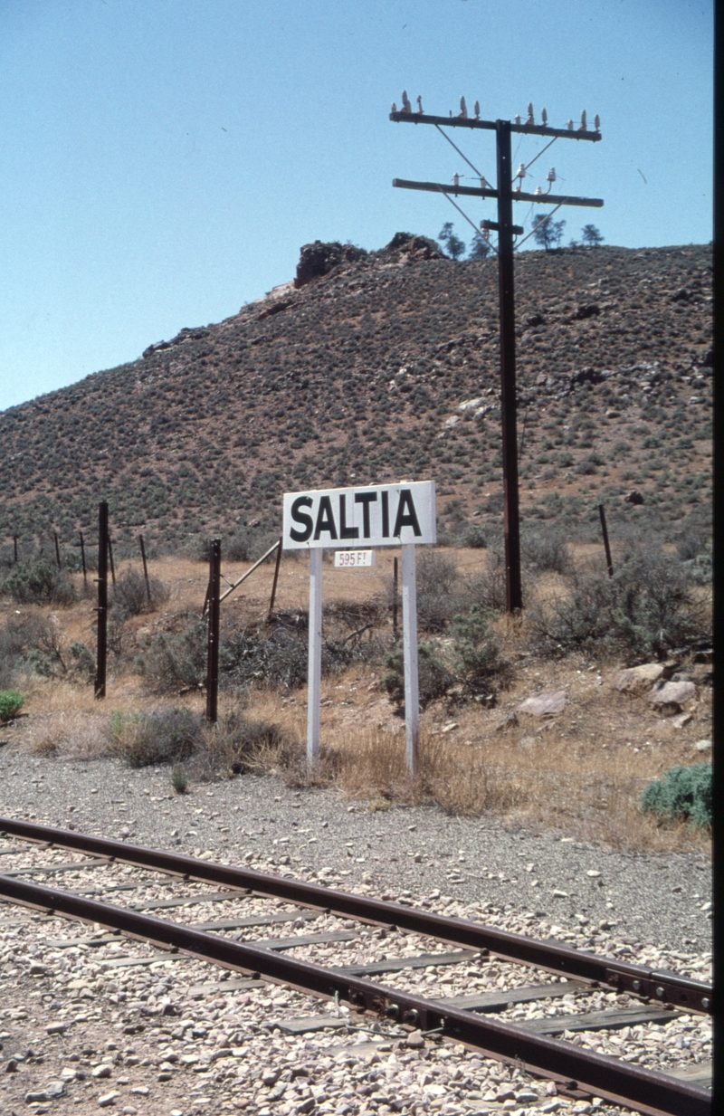 129376: Saltia