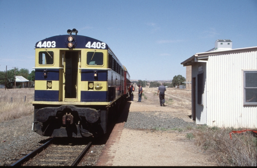 129426: Old Junee ARHS (ACT), Special to Coolamon 4403