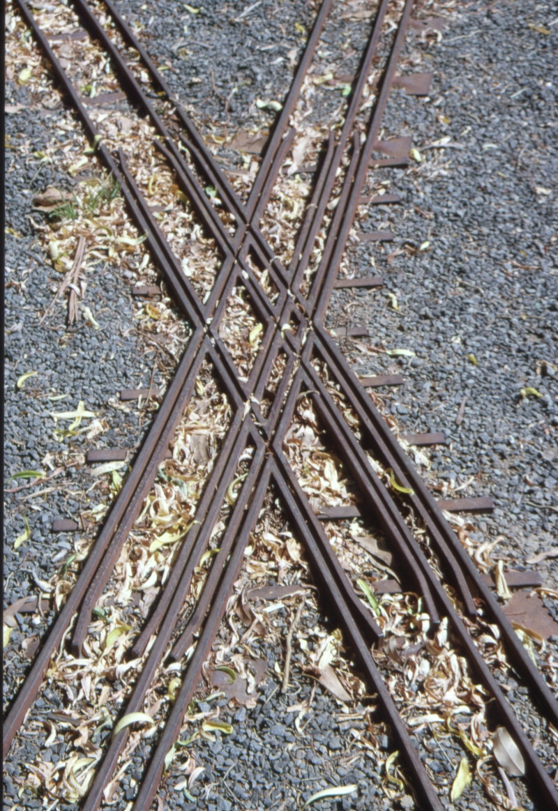 129559: Traralgon Miniature Railway 127 mm and 184 mm dual gauge diamond crossing