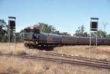 129833: Westgate ARHS Special Cunnamulla to Quilpie 1772