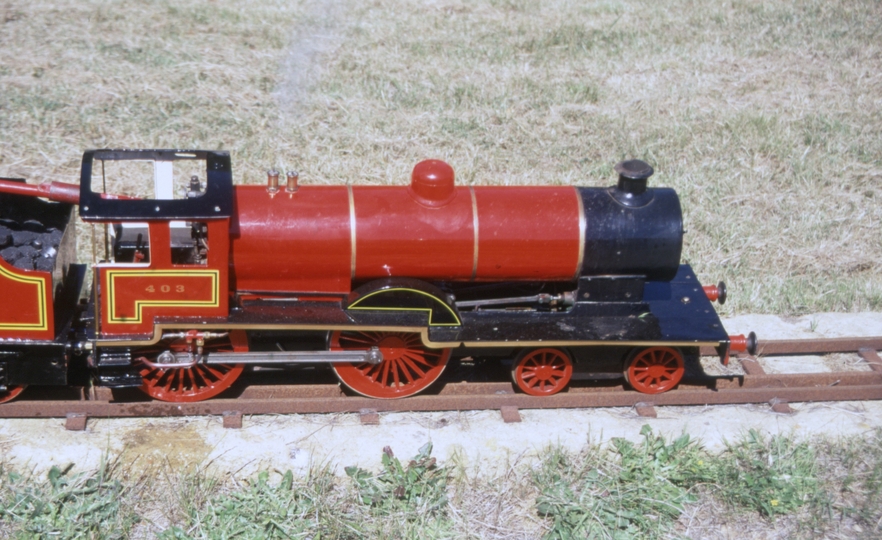 130076: Lake Goldsmith Light Engine 127 mm gauge model of LSWR 403 4-4-0