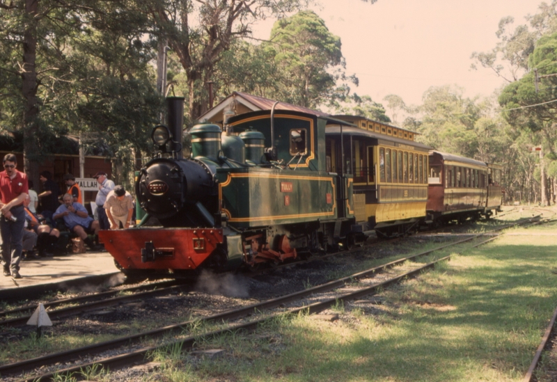 130862: Illawarra Light Railway 'Yallah' Station Passenger No 3 Tully No 6 and cars 95 119 and 1