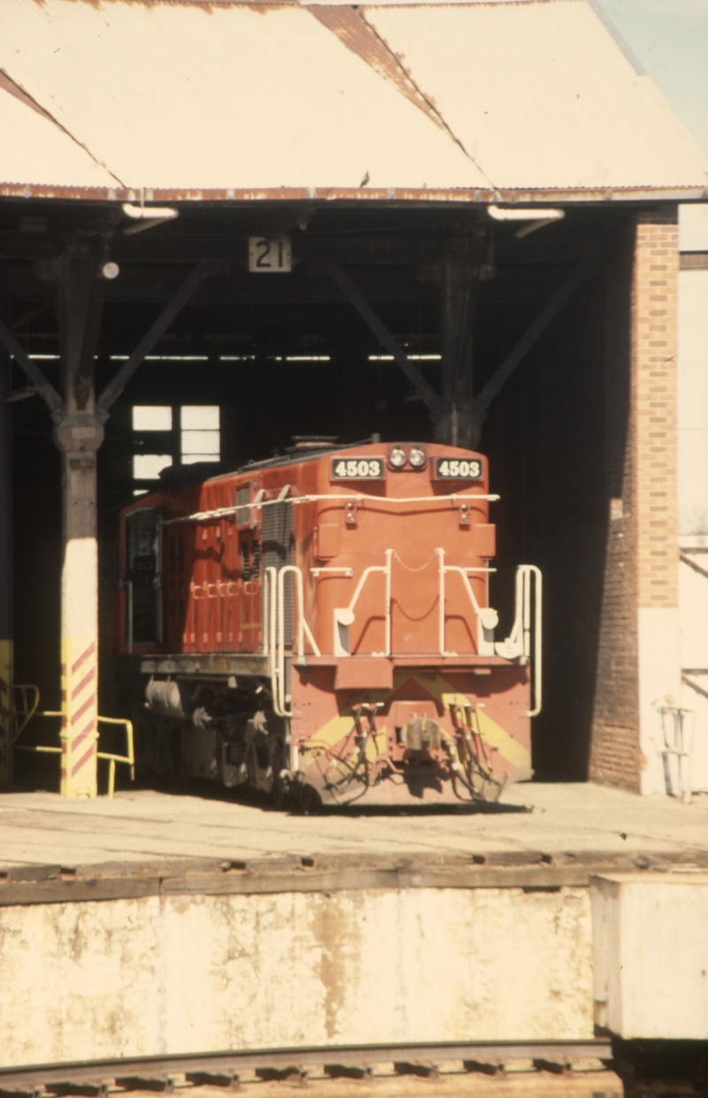 130919: Junee Locomotive Depot 4503