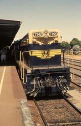 131960: Seymour Steamrail Special to Tocumwal T 342