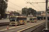 131965: Box Hill Buses departing for Blackburn on temporary roadway