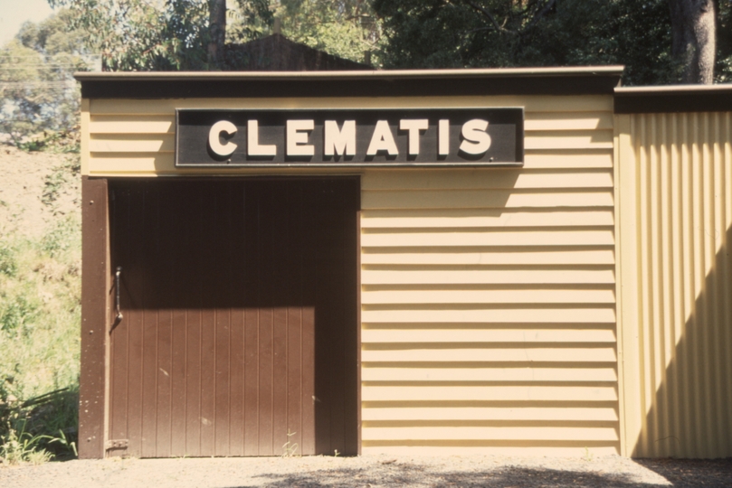 131991: Clematis