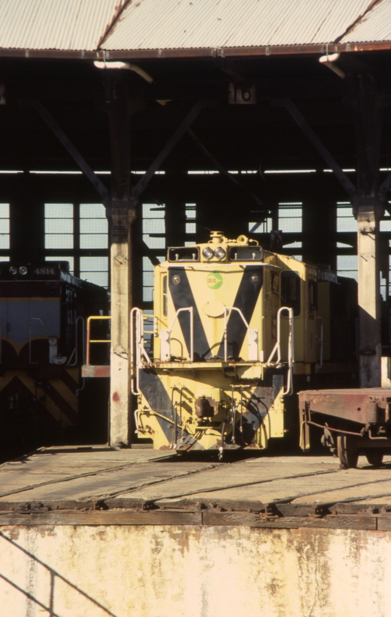 132135: Junee Locomotive Depot Cargill CAR 1 4812