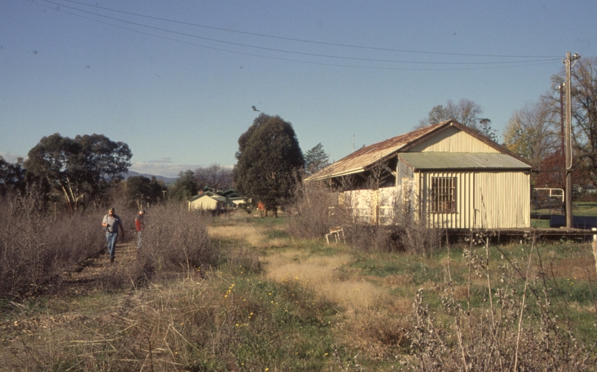 132159: Tumut Yard and goods shed looking towards end of track