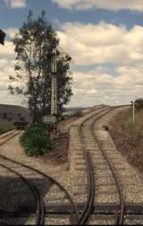 133121: Kerrisdale Mountain Railway Bottom Points